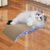 Pawzy Griffoire en carton ondulé pour chat - Motifs aléatoires