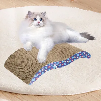 Pawzy Griffoire en carton ondulé pour chat - Motifs aléatoires