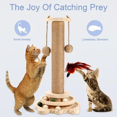 Pawzy Arbre à chat interactif en bois