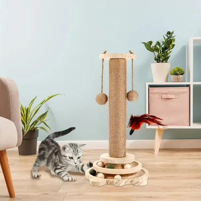Pawzy Arbre à chat interactif en bois