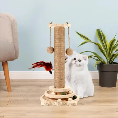 Pawzy Arbre à chat interactif en bois