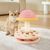 Pawzy Jouet intelligent 4-en-1 en bois pour chat