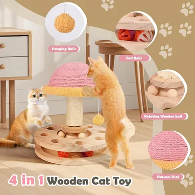 Pawzy Jouet intelligent 4-en-1 en bois pour chat