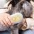 Zoomtopia Brosse vapeur pour poils de chat
