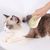 Zoomtopia Brosse vapeur pour poils de chat