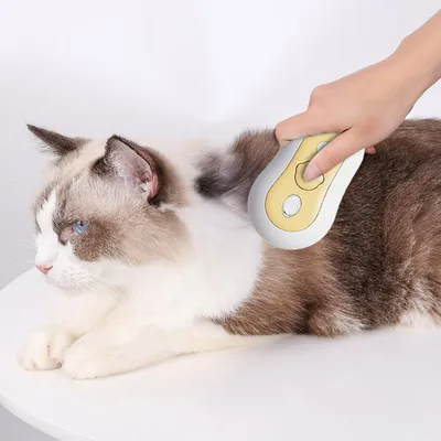 Zoomtopia Brosse vapeur pour poils de chat