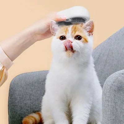 Zoomtopia Brosse vapeur pour poils de chat