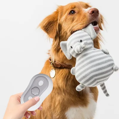 Zoomtopia Brosse vapeur pour poils de chat