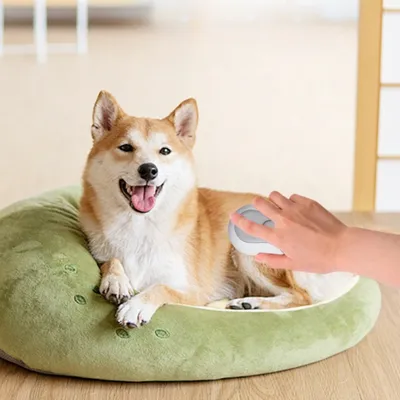 Zoomtopia Brosse vapeur pour poils de chat