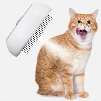 Zoomtopia Brosse vapeur pour poils de chat