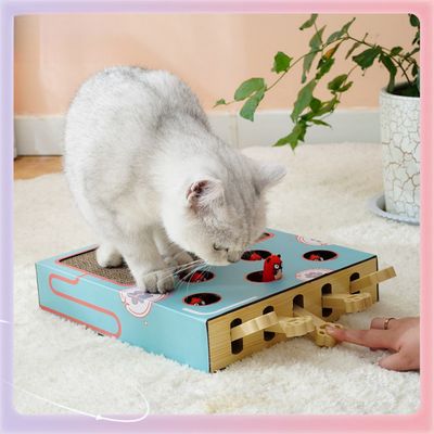 Pawzy Jeu interactif 3-en-1 pour chat : griffoir, boîte ludique