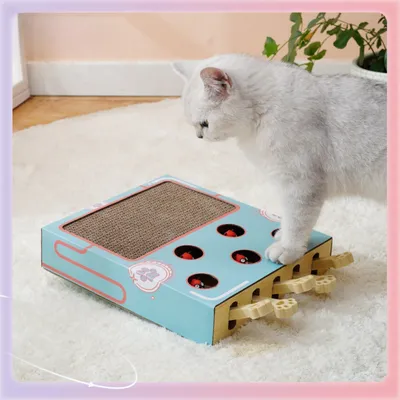 Pawzy Jeu interactif 3-en-1 pour chat : griffoir, boîte ludique