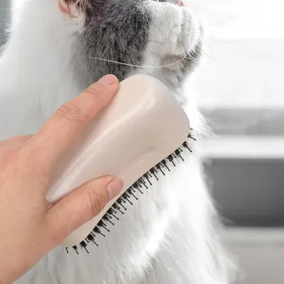 Zoomtopia Brosse Anti Perte de Poils pour Chien et Chat