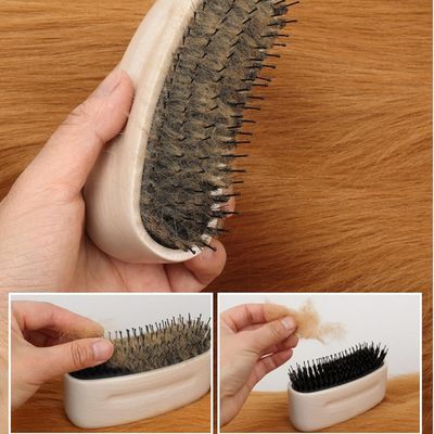 Zoomtopia Brosse Anti Perte de Poils pour Chien et Chat