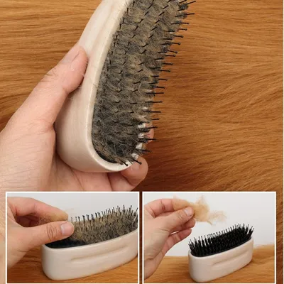 Zoomtopia Brosse Anti Perte de Poils pour Chien et Chat