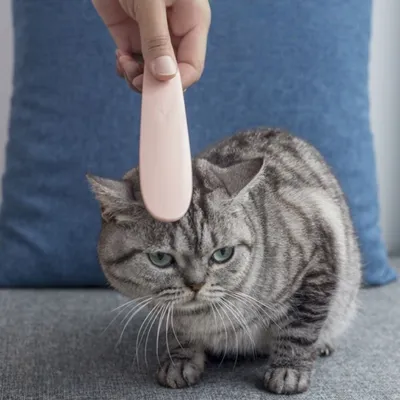 Zoomtopia Peigne à barbe pour chat