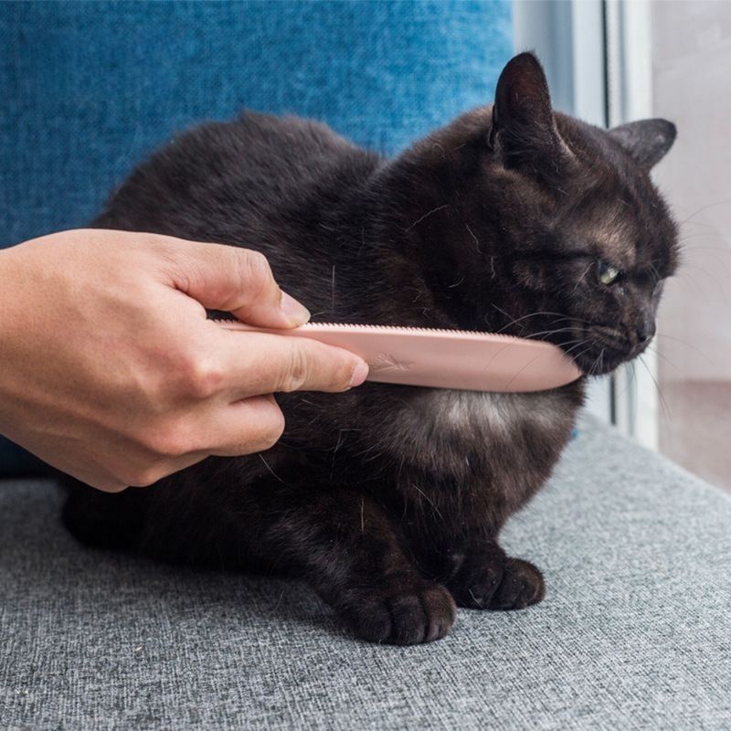 Zoomtopia Peigne à barbe pour chat