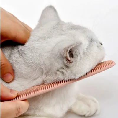 Zoomtopia Peigne à barbe pour chat