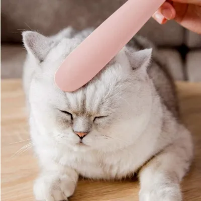 Zoomtopia Peigne à barbe pour chat