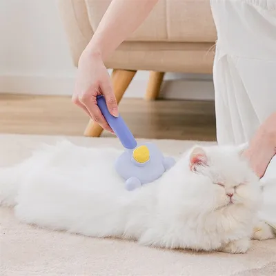 Pawzy Brosse pour animal de compagnie