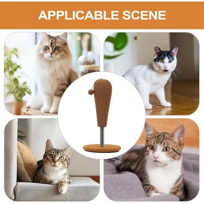 Pawzy Kratzball mit Jagdtraining – stabil, reinigbar & stimuliert Instinkte