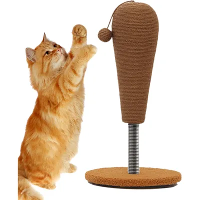 Pawzy Kratzball mit Jagdtraining – stabil, reinigbar & stimuliert Instinkte