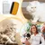 Zoomtopia Brosse Anti Perte de Poils pour Chien et Chat