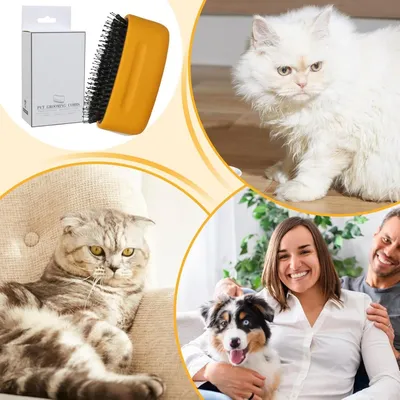 Zoomtopia Brosse Anti Perte de Poils pour Chien et Chat