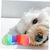 Pawzy Jouet à Interactif pour Chiens