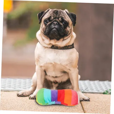 Pawzy Jouet à Interactif pour Chiens