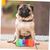 Pawzy Jouet à Interactif pour Chiens