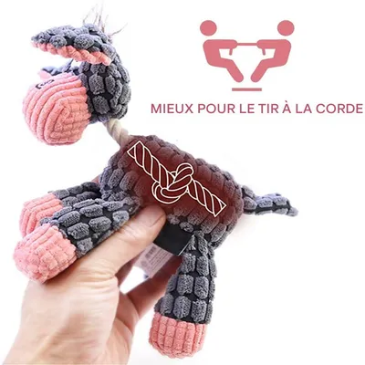 Pawzy Jouet en peluche pour chien