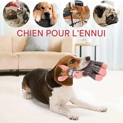 Pawzy Jouet en peluche pour chien