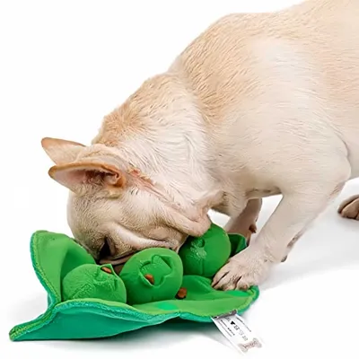 Pawzy Jouet distributeur intelligent pour chien