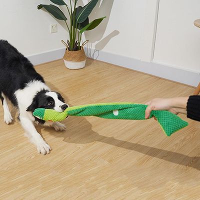 Pawzy Peluche couineuse pour chiot