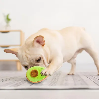 Pawzy Jouet à mâcher sonore pour chiot - Stimulation mentale & dentition