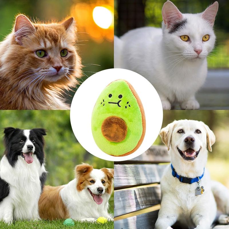 Pawzy Jouet à mâcher sonore pour chiot - Stimulation mentale & dentition