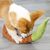 Pawzy Jouet à mâcher interactif pour chien