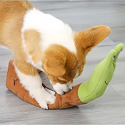 Pawzy Jouet à mâcher interactif pour chien