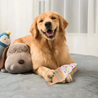 Pawzy Jouet couineur alimentaire pour chien