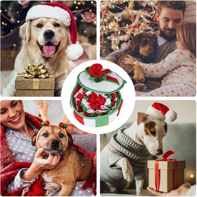 Pawzy Tapis de reniflement anti-dérapant pour chien