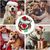 Pawzy Tapis de reniflement anti-dérapant pour chien