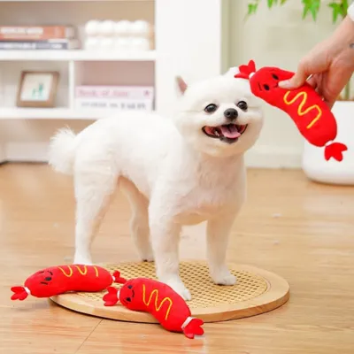 Pawzy Jouet couineur "Hot Dog" pour chien/chat - Durable et interactif