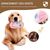 Pawzy Jouet en peluche en forme de pantoufle