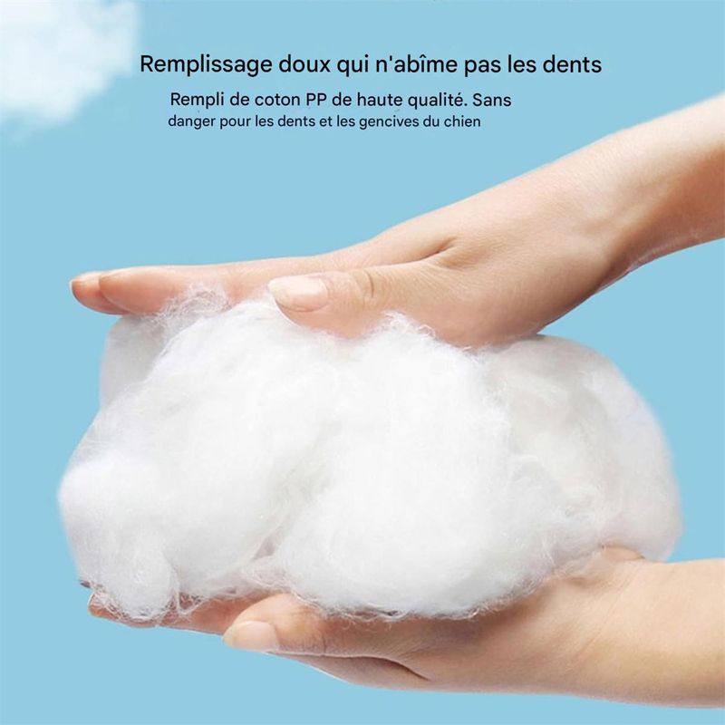 Pawzy Jouets en peluche pour chiens