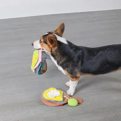 Pawzy Peluche distributeur friandises pour chien