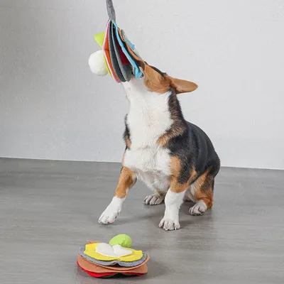 Pawzy Peluche distributeur friandises pour chien