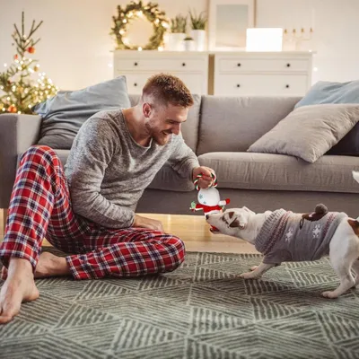 Pawzy Jouet robuste pour chien mordeur - Noël