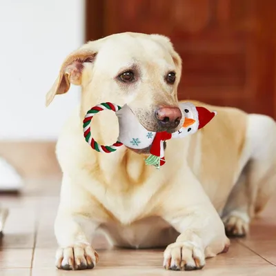 Pawzy Jouet robuste pour chien mordeur - Noël