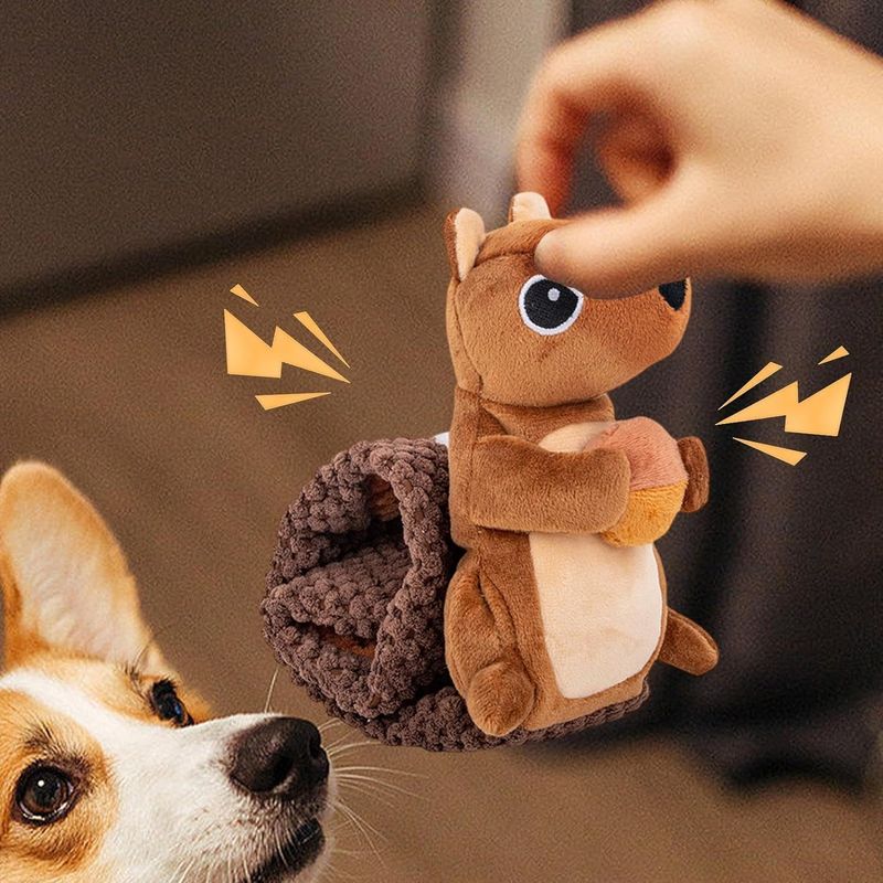 Pawzy Jouet écureuil couineur pour chien